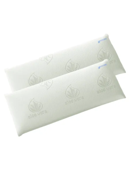 Two memory foam pillows with aloe vera cover