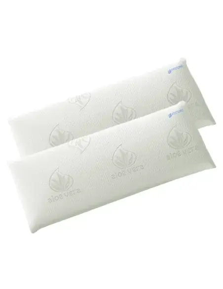 Two memory foam pillows with aloe vera cover